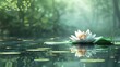 © kazitafahnizeer - A calming pond with a single lotus flower and green foliage, creating a tranquil background with ample copy space