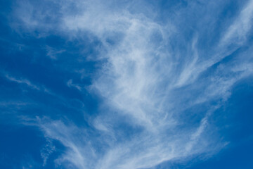 Poster - View of thin, wispy cirrus clouds with blue sky. 