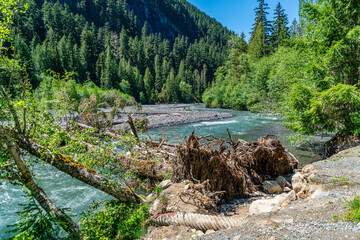 Wall Mural - Highway 410 Scenic River