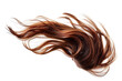 © ITXGRAPHICS - Girl's Hair Flip Isolated on a transparent background