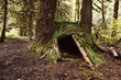 © vincent0404 - Selbstgebauter Unterschlupf im kanadischen Wald aus Ästen und Blättern