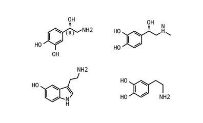 Catecholamines vector formula illustration isolated