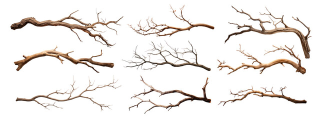 Sticker - Natural dry tree branches collection png set