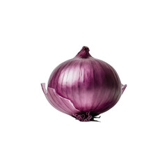 Onion 