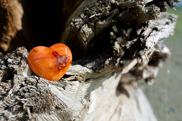 Wall Mural - An image of a heart shaped red carnelian crystal sparkling in the morning sunlight.