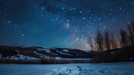 Wall Mural - Winter Night Sky Full of Stars