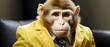© David - A monkey wearing a yellow buisness suit.