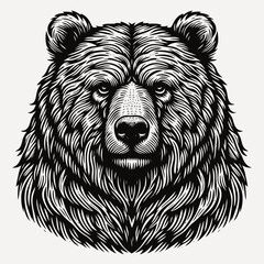 Wall Mural - Bear illustration with engraving style