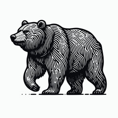 Wall Mural - Bear illustration with engraving style