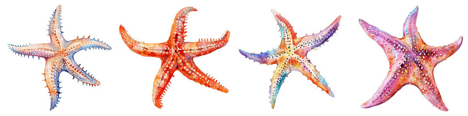 Colorful starfish in different poses marine life art transparent background