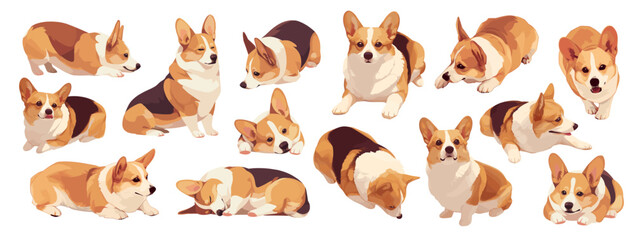 Wall Mural - Cartoon corgi dog set. Funny cute pet in different poses sitting lying play and sleep vector illustration