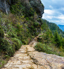 Wall Mural - The Alum Cave Trail on Mt. LeConte, Great Smoky Mountains National Park, Tennessee, USA