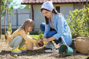 Canvas Print - Mother and her cute daughter planting tree together in garden