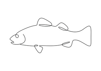 Wall Mural - Sea bass fish continuous one line drawing vector illustration. Pro vector