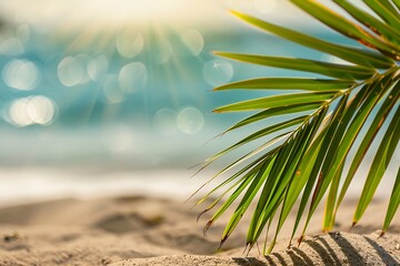 Palm Leaf and Sandy Beach with Blurred Bokeh Ocean Background