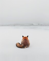 Wall Mural - duck in the snow