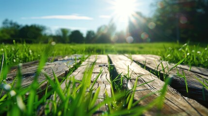 Sticker - A wooden board with grass growing on it