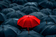 © Nim - Focus on a Red umbrella alone among a crowd of black umbrellas on a rainy day, concept of identity and difference, of being unique among others