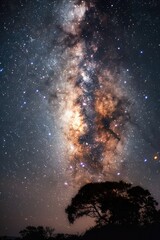 Wall Mural - The sky is filled with stars and a large cloud of milk