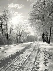 Sticker - A snowy path with trees in the background