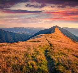 Sticker - Colorful morning view of Barvinok peak with tourist path, Colochava outskirts location, Ukraine, Europe. Stunning autumn sunrise in Carpathian mountains. Beauty of nature concept background.