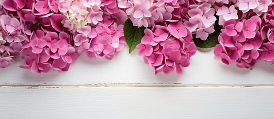 Poster - Picture a top view of a white wooden surface beautifully adorned with pink hydrangea flowers The arrangement creates a stunning floral border leaving room for additional content in the image