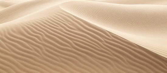 Wall Mural - The copy space image captures the distinctive shape and texture of the desert sand