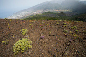 Wall Mural - Scene of the Birigoyo peak, La Palma Island, Canary Islands.