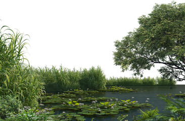 Sticker - 3D render swamp with plants and trees on transparent background.