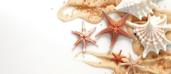 Poster - Starfish on the Sand: White Background Border Design with a Vacation Vibe