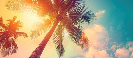 Sticker - Silhouette of Palm Tree with Sunlight on Sunset Sky Background: Vintage Style Summer Travel Concept