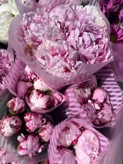 Poster - A bouquet of beautiful pink peonies