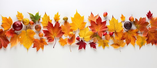 Aufkleber - Autumn-themed arrangement featuring a frame formed by vibrant maple leaves on a white surface. Viewed from above, offering room for text or images. with copy space image