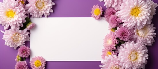Aufkleber - Beautiful chrysanthemum flowers arranged in a frame with a blank card on a violet background in a flat lay composition, creating a copy space image.