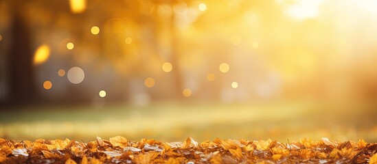 Wall Mural - Autumn landscape featuring falling yellow leaves with a park bokeh background and sun beams, ideal for a copy space image.