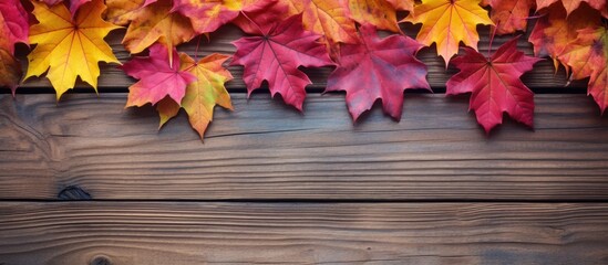 Fototapete - Colorful fall foliage of maple leaves on wooden backdrop with copy space image.