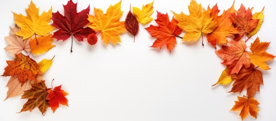 Aufkleber - Autumn-themed arrangement featuring a frame formed by vibrant maple leaves on a white surface. Viewed from above, offering room for text or images. with copy space image