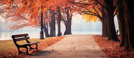 Aufkleber - Fall tree-lined pathway with a park bench, set against a picturesque autumn backdrop with ample copy space image.