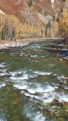 Wall Mural - Vertical drone video of Altai river Kumir. Camera moves backwards over water at a low altitude.