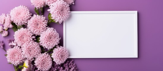 Aufkleber - Beautiful chrysanthemum flowers arranged in a frame with a blank card on a violet background in a flat lay composition, creating a copy space image.