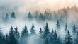 © Lubos Chlubny - Misty landscape with spruce forest in morning in Mountains. Silhouettes of trees emerge from the fog.