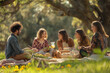 © Damian - group of friends having a picnic with vintage picnic set