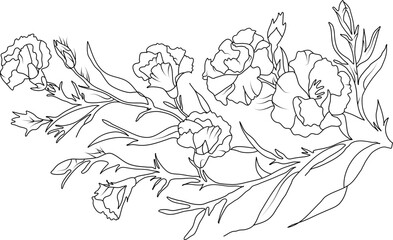 Poster - Peony flowers line art illustration
