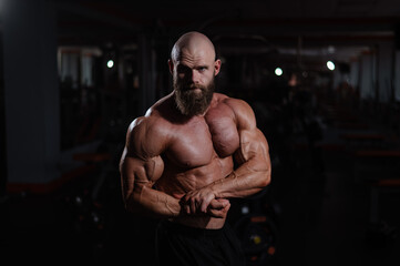 Wall Mural - Caucasian bald man posing in the gym.