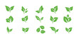 © Urwah - Green leaf ecology icon vector