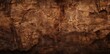 © Siasart Studio - cave texture of a brown wall with a rock formation in the foreground