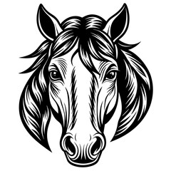 Wall Mural - horse face vector illustration