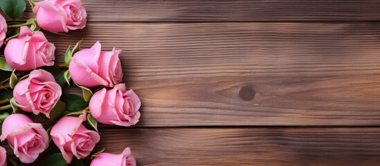 Aufkleber - Pink roses displayed on a simple wooden backdrop. with copy space image. Place for adding text or design
