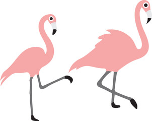 flamingo  illustration on white background  