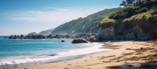 Poster - Giraffes peacefully roam the beach near a towering cliff in a remote location along the Otter Trail. with copy space image. Place for adding text or design